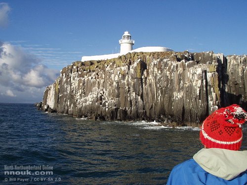 A boat trip to the Farne Islands