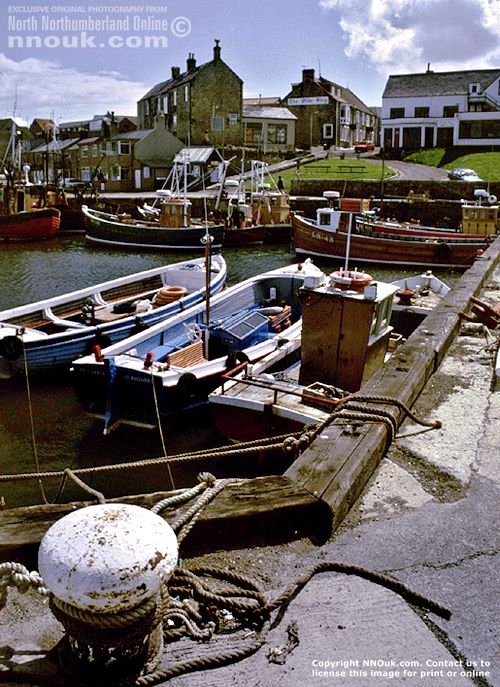 Seahouses harbour with boats, Northumberland